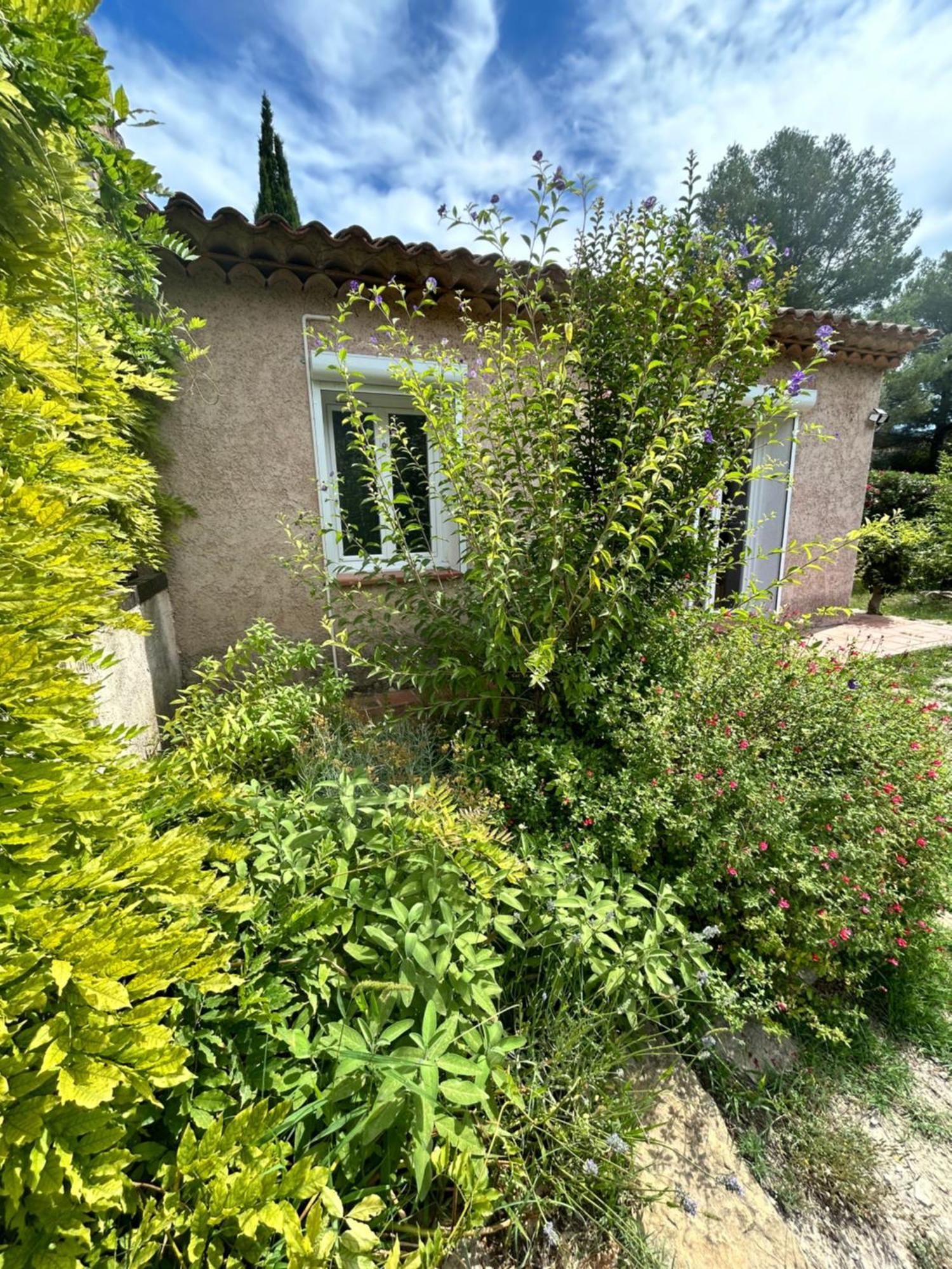 Villa De Charme En Campagne Avec Piscine Privee Et Nature Luxuriante Le Beausset Eksteriør billede